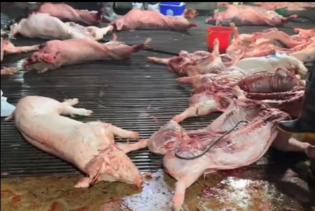 Cần làm sạch cả thịt bẩn và lương tâm bẩn